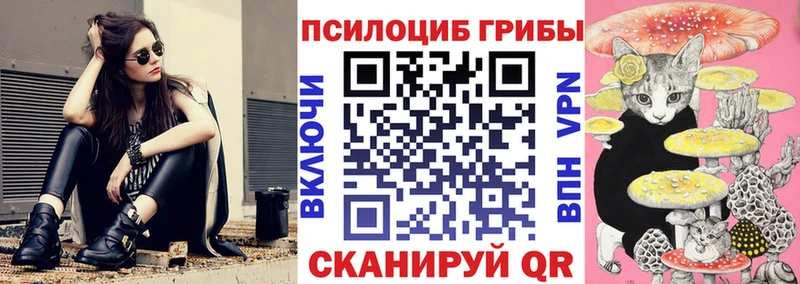 Псилоцибиновые грибы Cubensis  Сортавала 